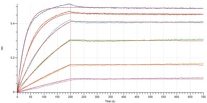 Human CD47 +BLI-2.jpg